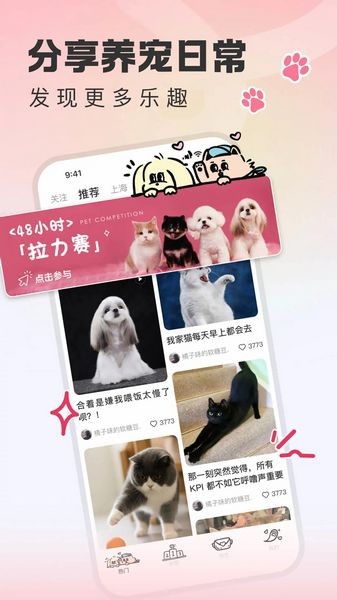 尾巴宝贝