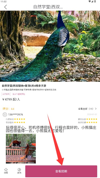 斑马旅游