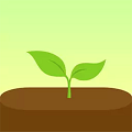 Forest 专注森林