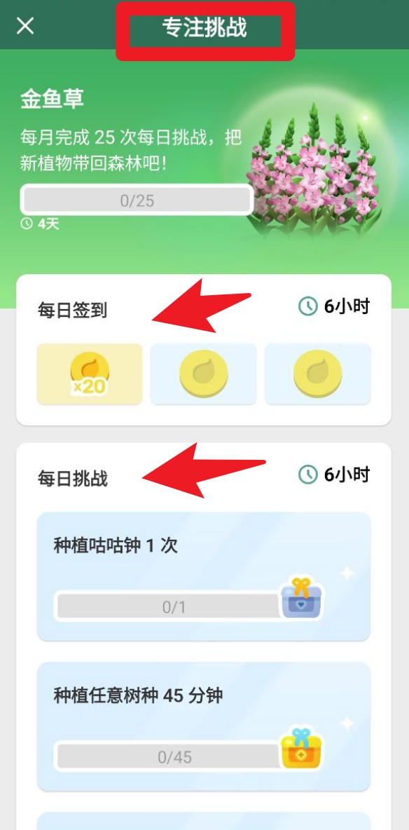 Forest 专注森林