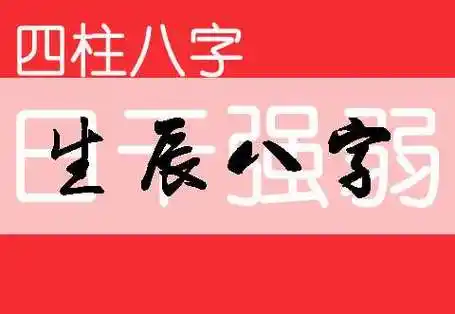 算八字起名软件
