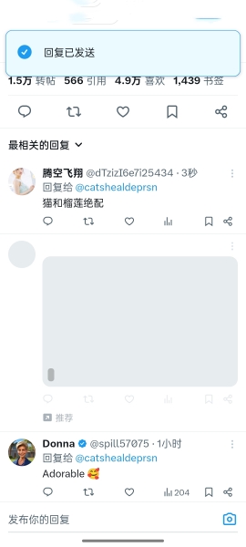 twitter官方