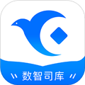 数智司库