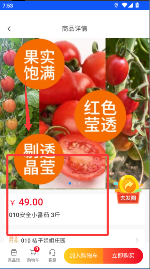 立码见真