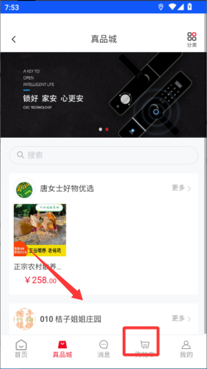 立码见真