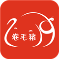 卷毛猪