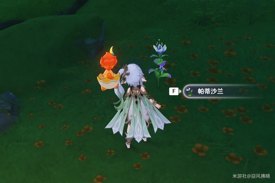 原神帕蒂沙兰全收集路线