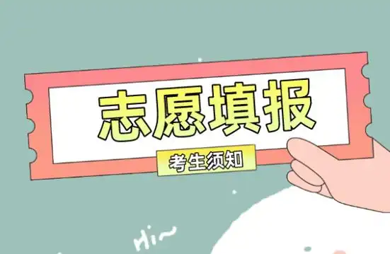 志愿填报助手