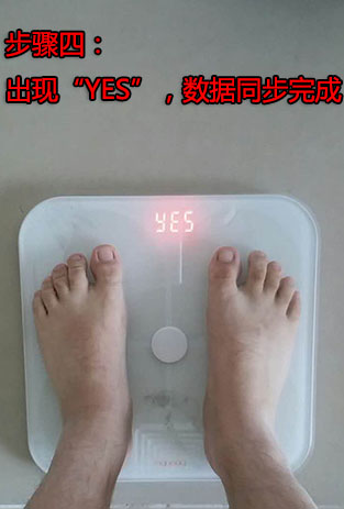 变啦体脂秤