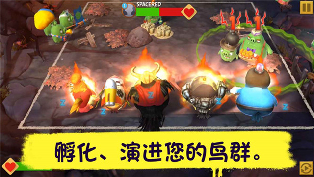 愤怒的小鸟进化