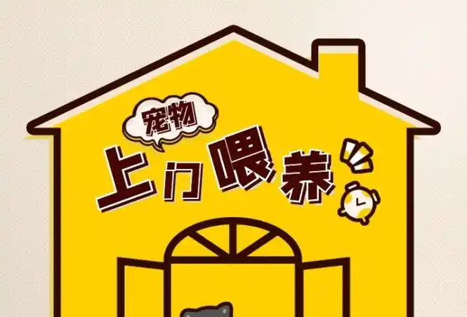 宠物上门喂养