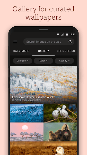 bing wallpapers apk