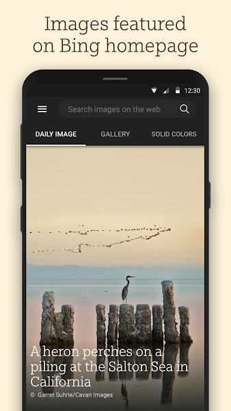 bing wallpapers apk