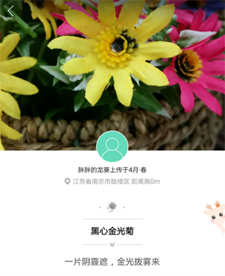 形色植物识别