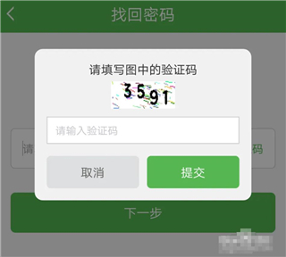 向上网