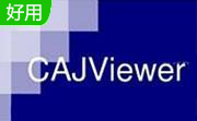 CAJViewer