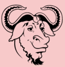 Native Test牛头环境检测