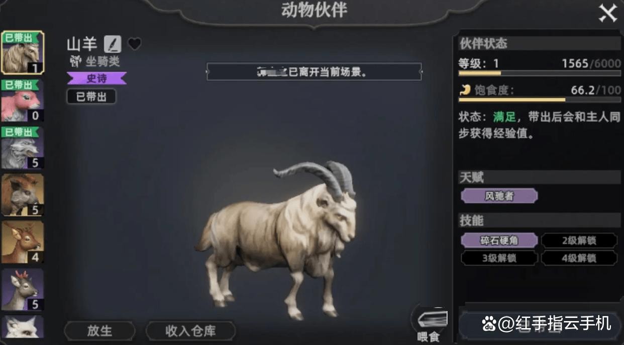 荒原曙光五大实用宠物推荐