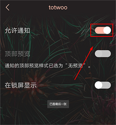 totwoo感应手链
