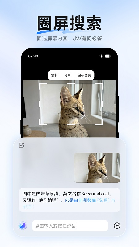 蓝心小V