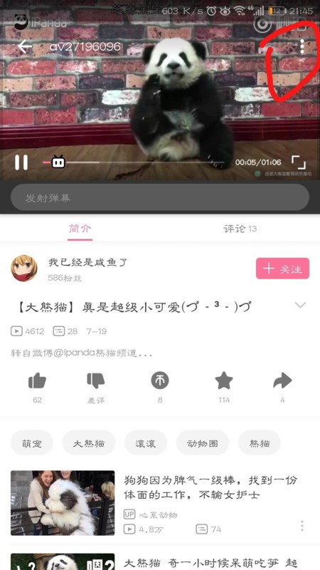 哔哩终端