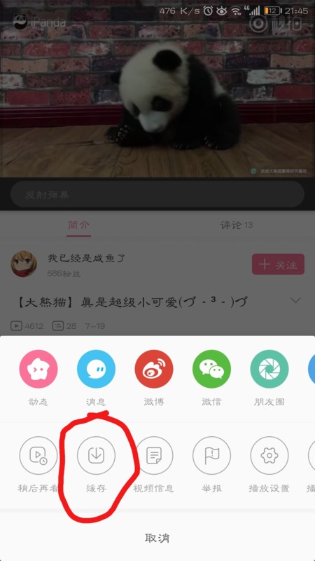 哔哩终端