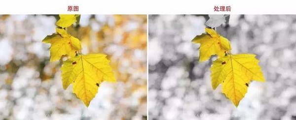 Snapseed手机修图软件