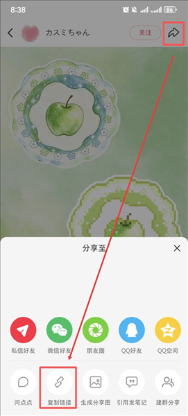 豆猫拼豆